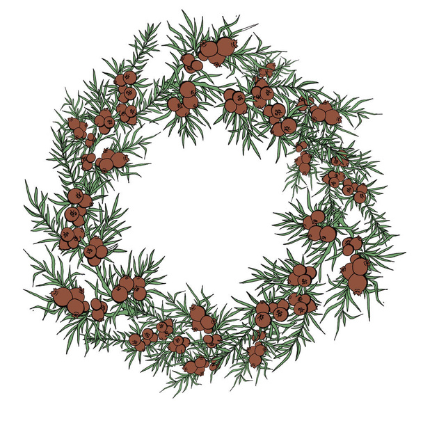 juniper. berries and branches. wreath with plants. evergreen. wreath with juniper. Use for background, wallpaper, cards, invitations, fabric. - Photo, Image