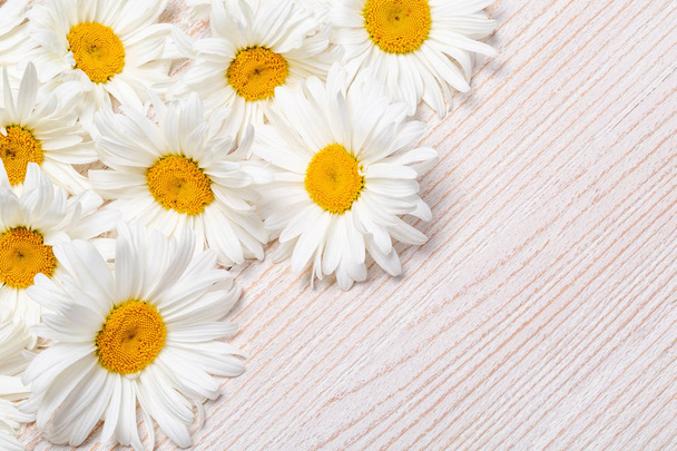 Daisy chamomile flowers on wooden background. View with copy space. - Фото, зображення