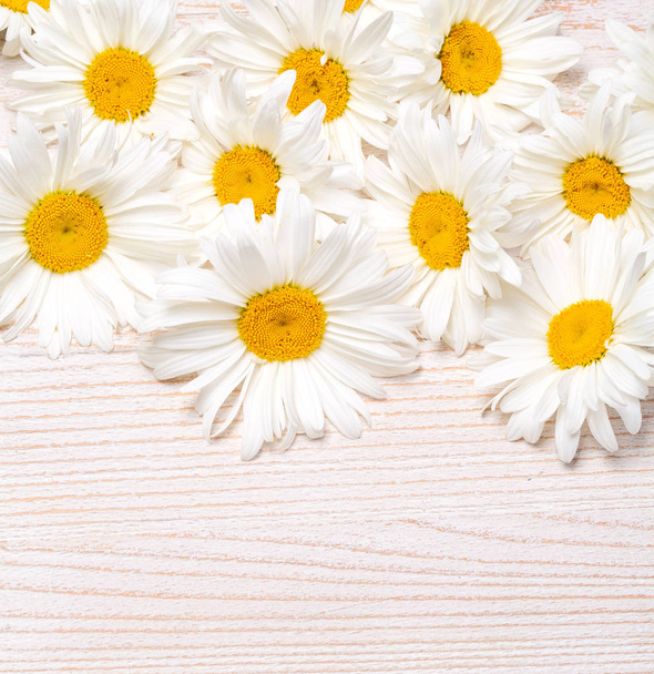 Daisy fiori di camomilla su sfondo di legno. Vista con spazio di copia. - Foto, immagini