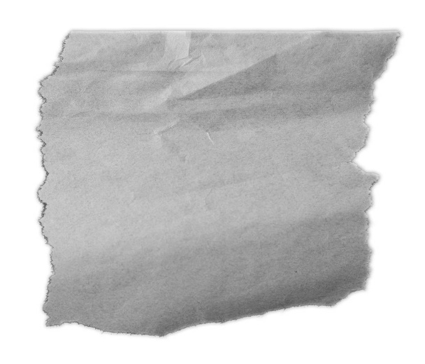 Trozo de papel desgarrado aislado sobre fondo liso
  - Foto, imagen