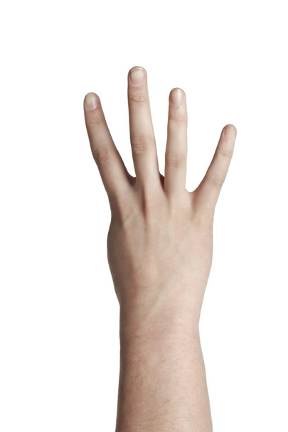 eine Hand, die vier zählt - Foto, Bild