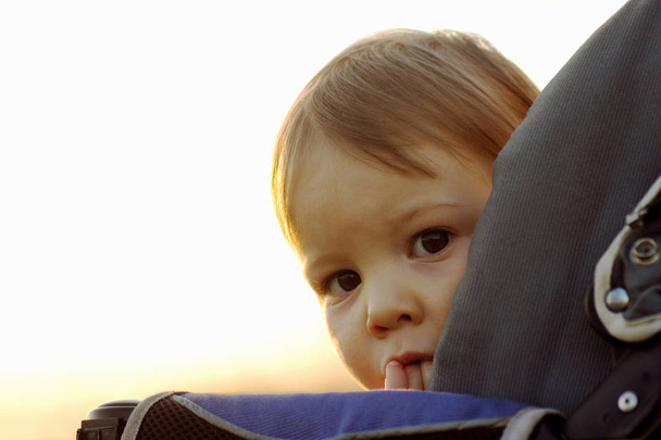 Το χαριτωμένο ντροπαλός μικρό κοριτσάκι κρύβεται και κοιτώντας την κάμερα από το μωρό μεταφορά. - Φωτογραφία, εικόνα