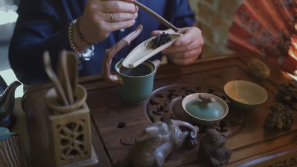 Ο άνθρωπος ρίχνει πράσινο τσάι στην τσαγιέρα στην παραδοσιακή κινεζική τελετή τσαγιού - Πλάνα, βίντεο