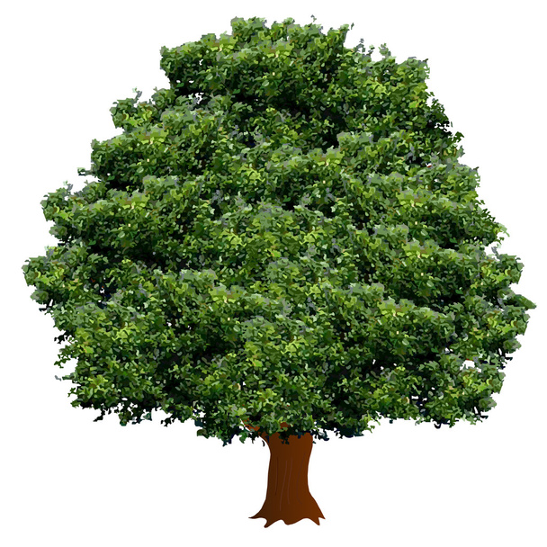 Global environment tree plant - Vector, Image