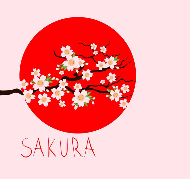 japanischer Frühling mit blühenden Kirschsakurabäumen, Sakura-Schriftzug und roter Sonne. flache Bauweise - Vektor, Bild