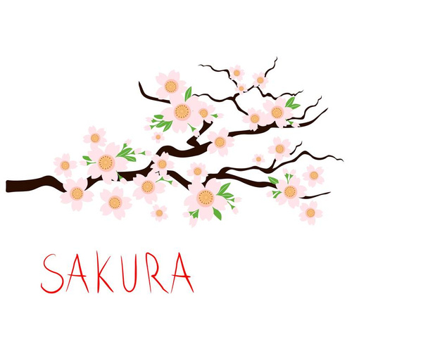 Springtime japanese background with blossoming cherry sakura tree brunches. Flat design - Vector, Image