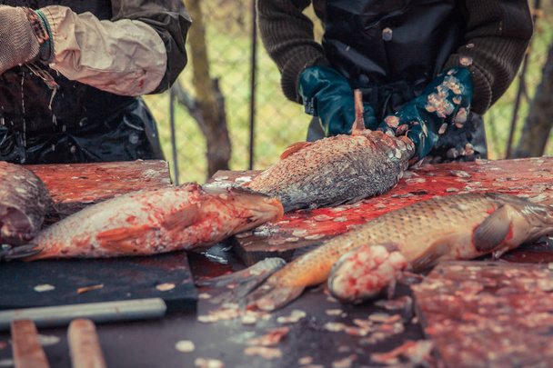 Corte e limpeza de peixes após a pesca
 - Foto, Imagem