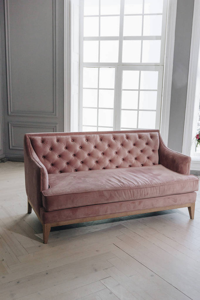 Pink velvet couch in the room with grey walls and window - Fotoğraf, Görsel
