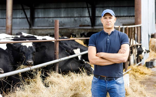 Bauer auf Bauernhof mit Milchkühen - Foto, Bild