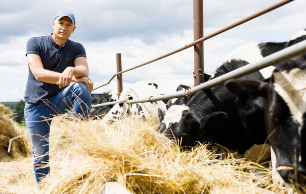 乳牛の農場での農民 - 写真・画像