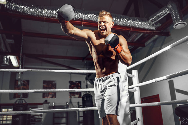 Boxer. Confident young boxer on the boxing ring - 写真・画像
