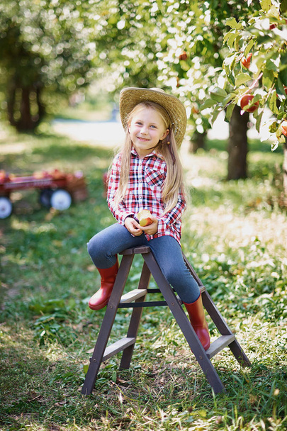Girl with Apple in the Apple Orchard. Beautiful Girl Eating Organic Apple in the Orchard. Harvest Concept. Garden, Toddler eating fruits at fall harvest. Apple picking. - Foto, Imagem
