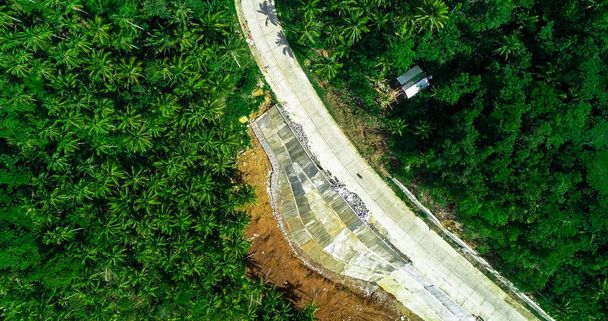 Вид с воздуха на пальмовый лес, дорогу и горы на острове Сиаргао. Филиппины
. - Фото, изображение