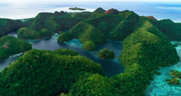 Ilmakuva Sugban laguunista. Kaunis maisema sininen laguuni, kansallispuisto, Siargao Island, Filippiinit
. - Valokuva, kuva