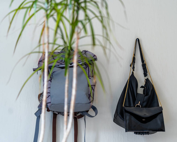 Fialový školní batoh visí na zdi - izolovaný objekt bílé pozadí s zelená rostlina Infront z toho - Fotografie, Obrázek