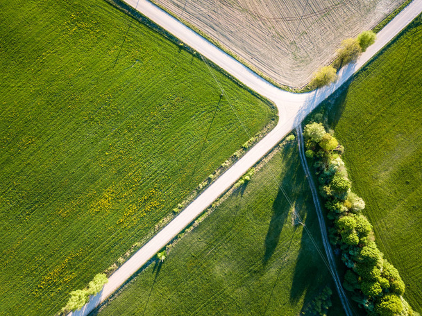 Drone фото дороги між деревами барвисті ранньої весни в сільській місцевості села - огороджений кульбаби поля - Фото, зображення