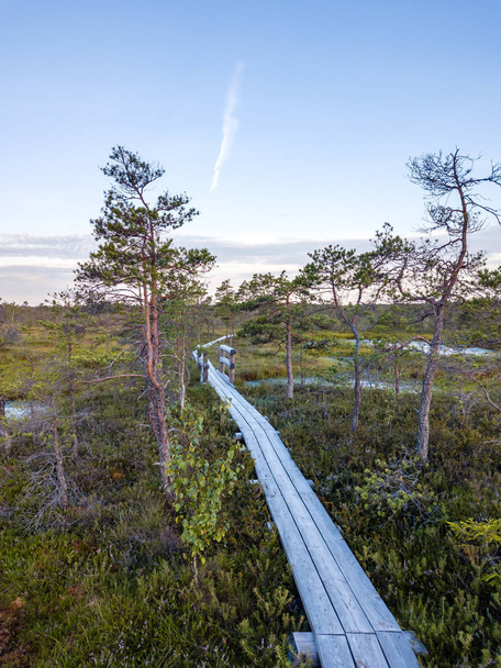 Moody Drone Photo of Colorful Moorland in Early Summer Sunrise with a Wooden Path Through it - Foto, immagini