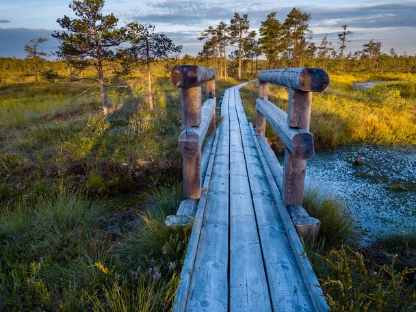 Moody Drone Photo of Colorful Moorland in Early Summer Sunrise with a Wooden Path Through it - Foto, Imagem