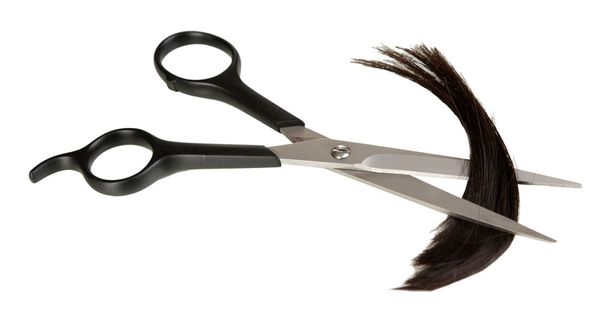 Pieces of hair cut with scissors isolated on white - Foto, immagini