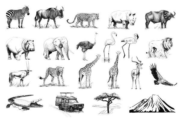 Készlet-ból sok afrikai állatok és autó, fa, hegyi kézzel rajzolt ábrák (eredeti, nincs nyomkövetés) - Fotó, kép