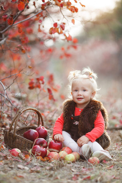 Child picking apples in autumn.Little baby girl playing in apple tree orchard.Kids pick fruit in a basket.Toddler eating fruits at fall harvest.Outdoor fun for children. Healthy nutrition.Little girl with basket full of ripe apples in autumn garden - Fotografie, Obrázek