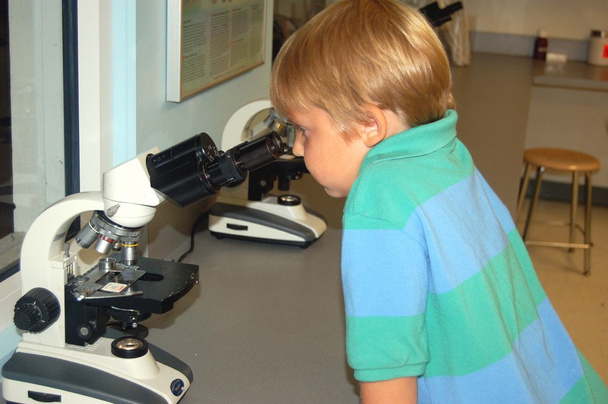 mirando a través de un microscopio
 - Foto, imagen