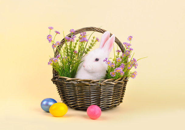 Conejo de Pascua en una cesta con flores y huevos de colores
 - Foto, imagen