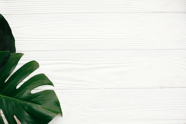 green monstera leaves on white wooden background  - Zdjęcie, obraz