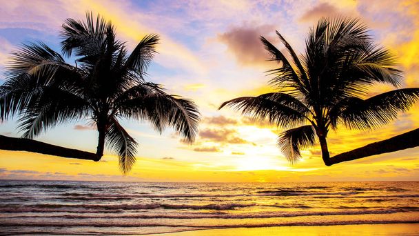 kokospalm met zonsondergang aan zee in Thailand. - Foto, afbeelding