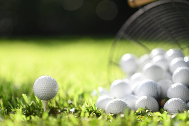 Pelota de golf en tee y pelotas de golf en canasta sobre hierba verde para practicar
 - Foto, imagen