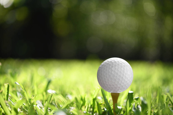Piłeczki do golfa na zielonej trawie, z tle pole golfowe - Zdjęcie, obraz