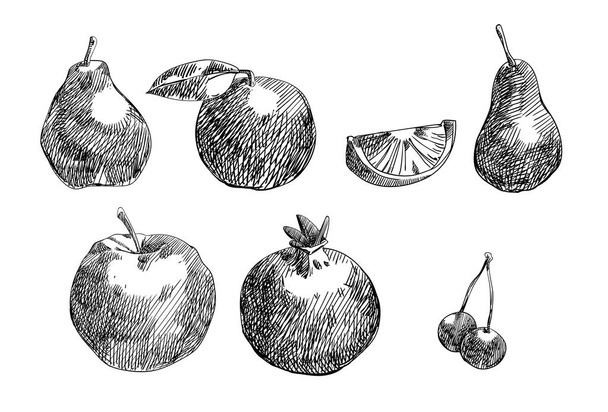Fruits sketches isolated on white background. - Vettoriali, immagini