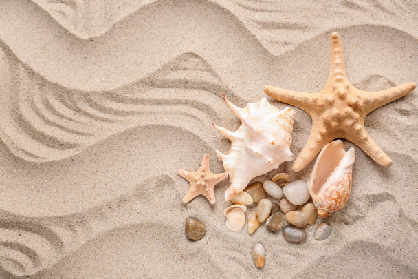 Морские раковины и морские звезды на песке
 - Фото, изображение
