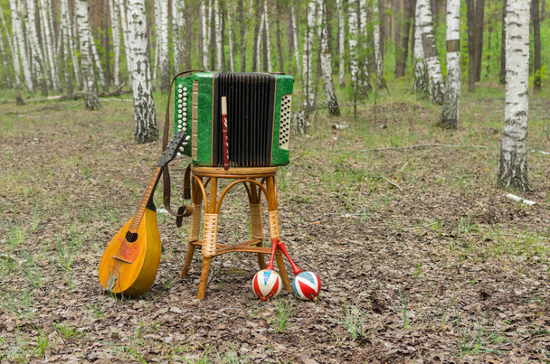 Garmonika, bandolim, maracas e fife descansando após uma performance ao ar livre em um bosque de bétula
 - Foto, Imagem
