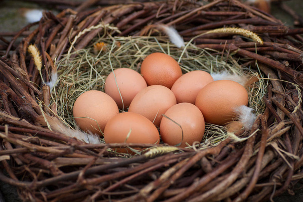 Una pila de huevos en el heno en el nido
 - Foto, Imagen