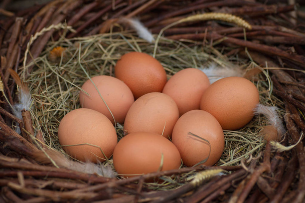 Hromadu vajec v seně v hnízdě - Fotografie, Obrázek