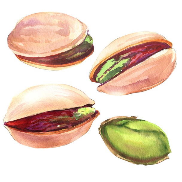 Sarja vihreä pistaasipähkinöitä kuoritut ja kuorimattomat pistaasipähkinät eristetty, käsin piirretty akvarelli kuvitus valkoinen
 - Valokuva, kuva