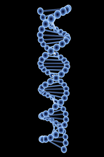 struktura DNA v modrém - Fotografie, Obrázek