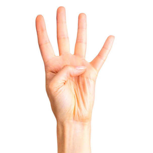Female hand showing four fingers and palm - Foto, imagen