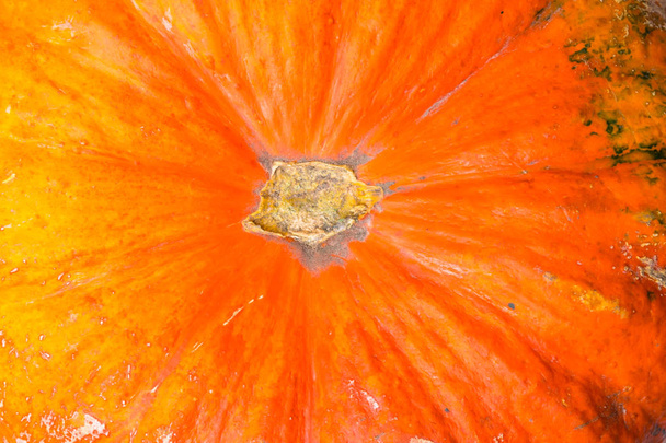 achtergrond met hele biologische oranje pompoen - Foto, afbeelding