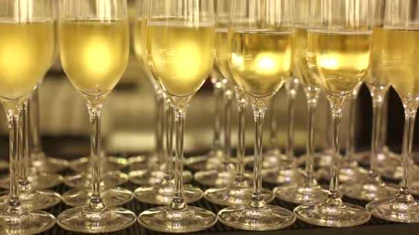 Zamknij widok rzędów kieliszków szampana na imprezie - Materiał filmowy, wideo
