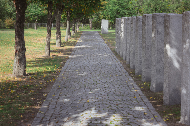 доріжка з бруківки та меморіальних надгробків, розміщених поспіль на кладовищі
 - Фото, зображення
