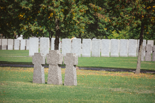 cruces de piedra conmemorativas idénticas colocadas en fila en el cementerio
 - Foto, Imagen