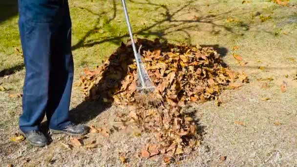 Hombre recogiendo hojas caídas de otoño en el patio
 - Metraje, vídeo