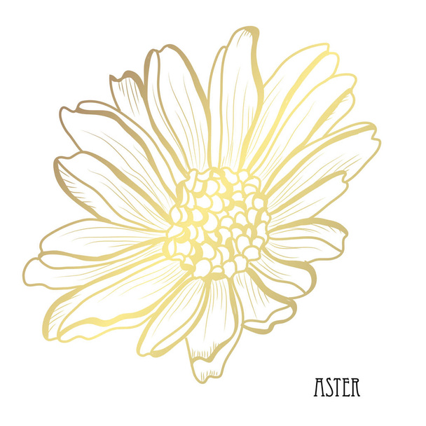 Decorative aster  flower, design element. Can be used for cards, invitations, banners, posters, print design. Golden flowers - Vettoriali, immagini
