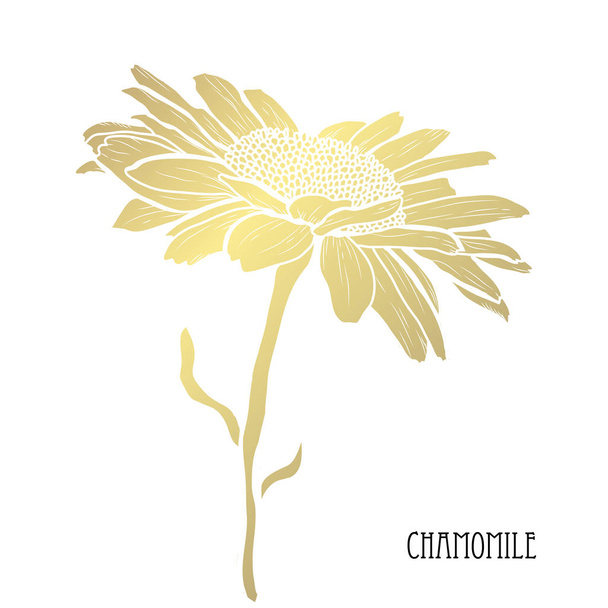 Decorative chamomile  flower, design element. Can be used for cards, invitations, banners, posters, print design. Golden flowers - Vettoriali, immagini