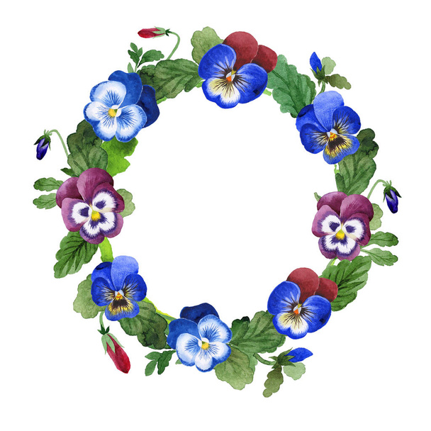 blauer Viola-Rahmen. Blütenbotanische Blume. Grünes Blatt. Blattpflanze botanischer Garten florales Laub. Rahmen Bordüre Ornament - Foto, Bild