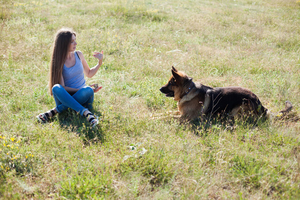 female schools and plays with German Shepherd 1 - Photo, Image