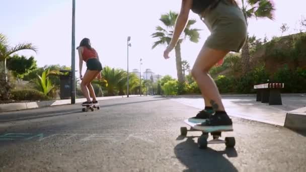 Zwei Freundinnen auf Skateboards fahren im Resort bergab und haben Spaß dabei, sich zu bewegen und zu lachen. Straße entlang von Palmen - Filmmaterial, Video