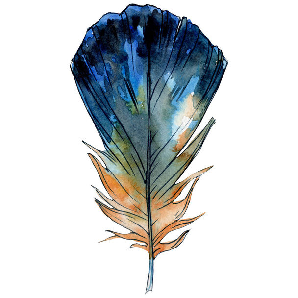 Blue yellow feater. Watercolor bird feather from wing isolated. Aquarelle feather for texture. Background set. - Photo, Image